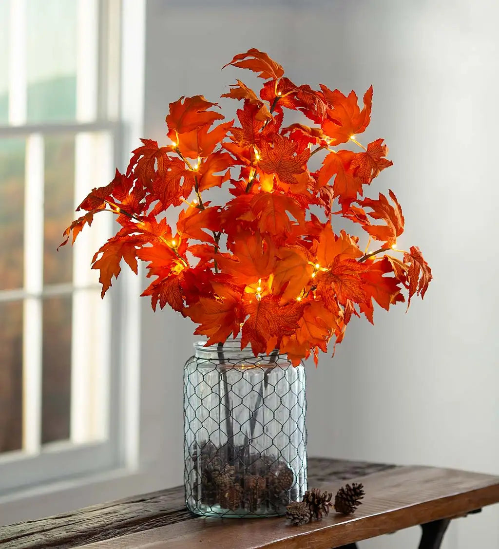 Maple Branches