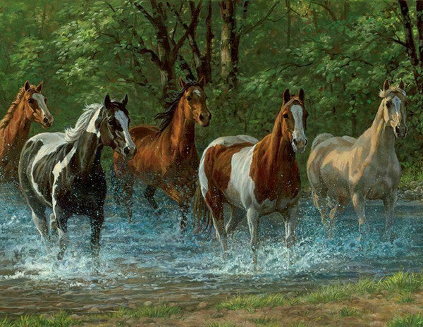 Summer Creek Puzzle