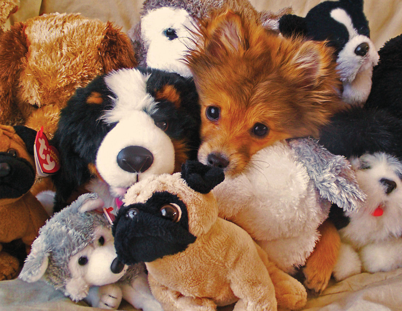 Playtime Puppies Puzzle