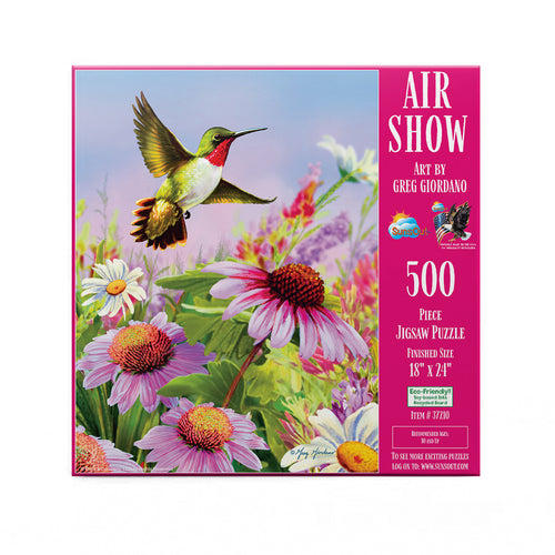 Air Show Puzzle