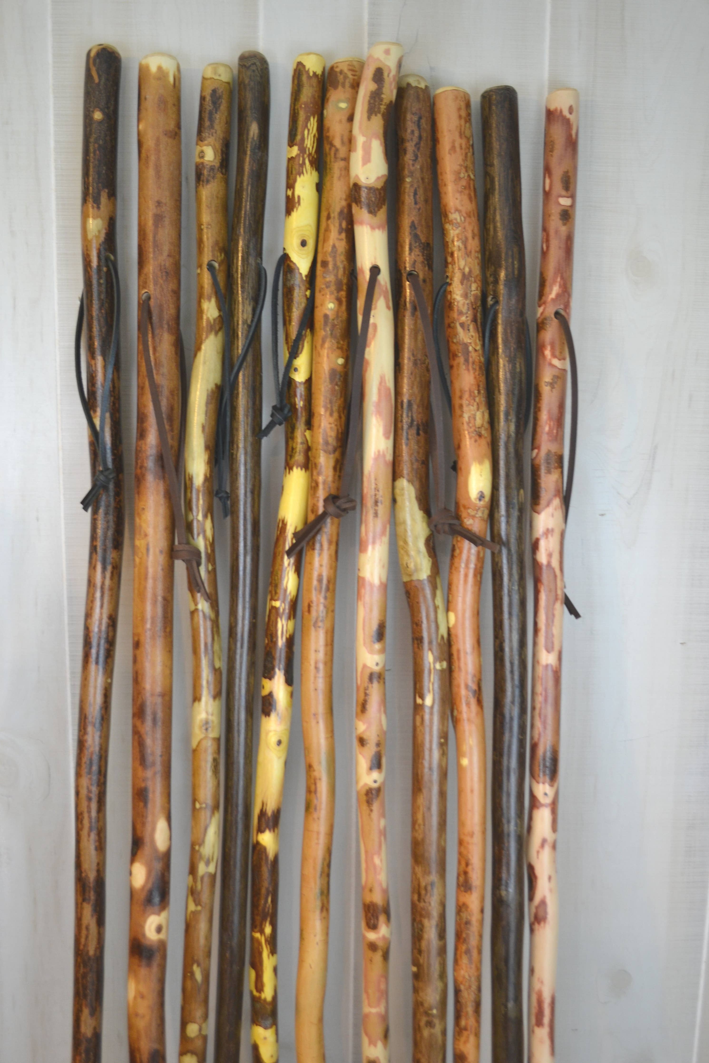 Walking Stick/Staff 56"