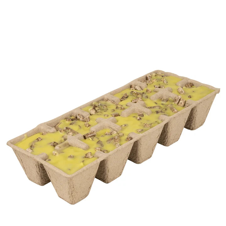 Citronella Firestarters