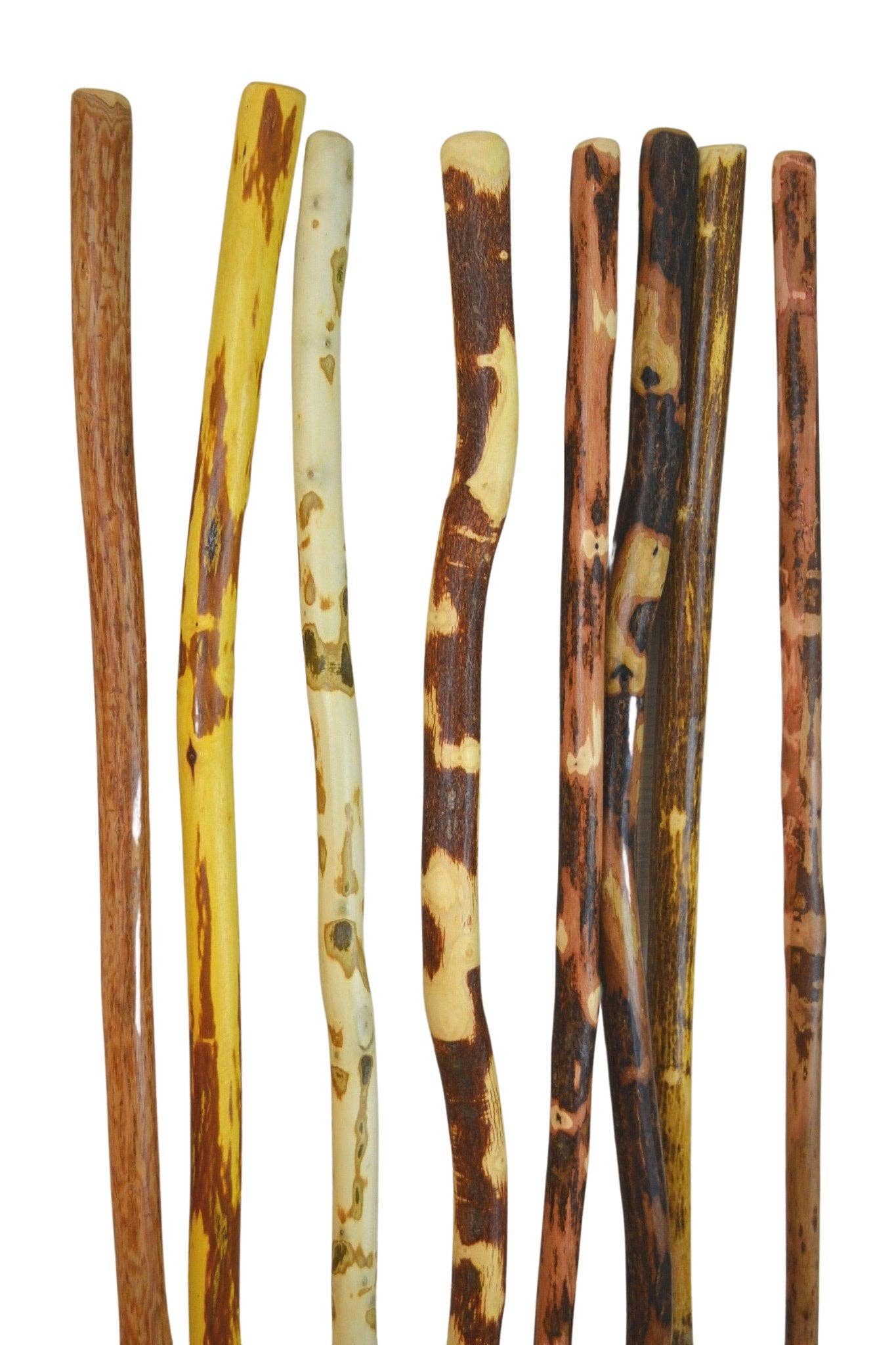 Adult Hiking Stick 54"