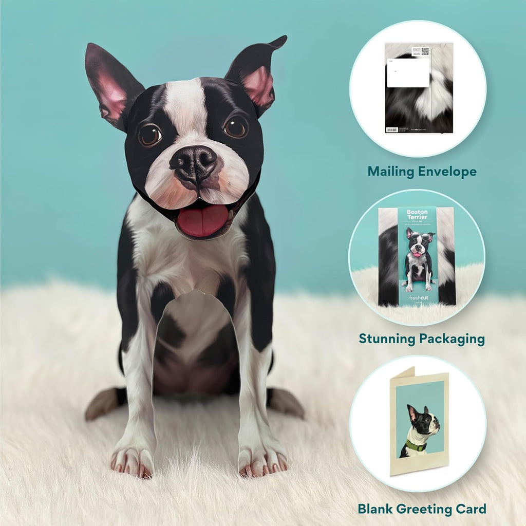 Boston Terrier FreshCut Paper - Pop Up Pet Card