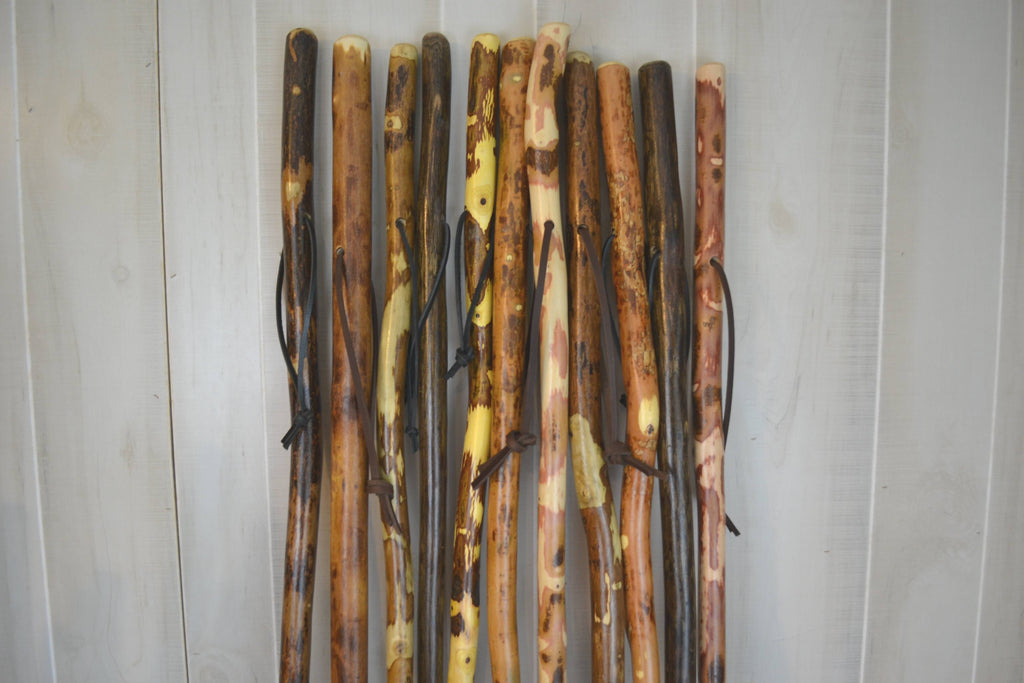 Walking Stick/Staff 56"