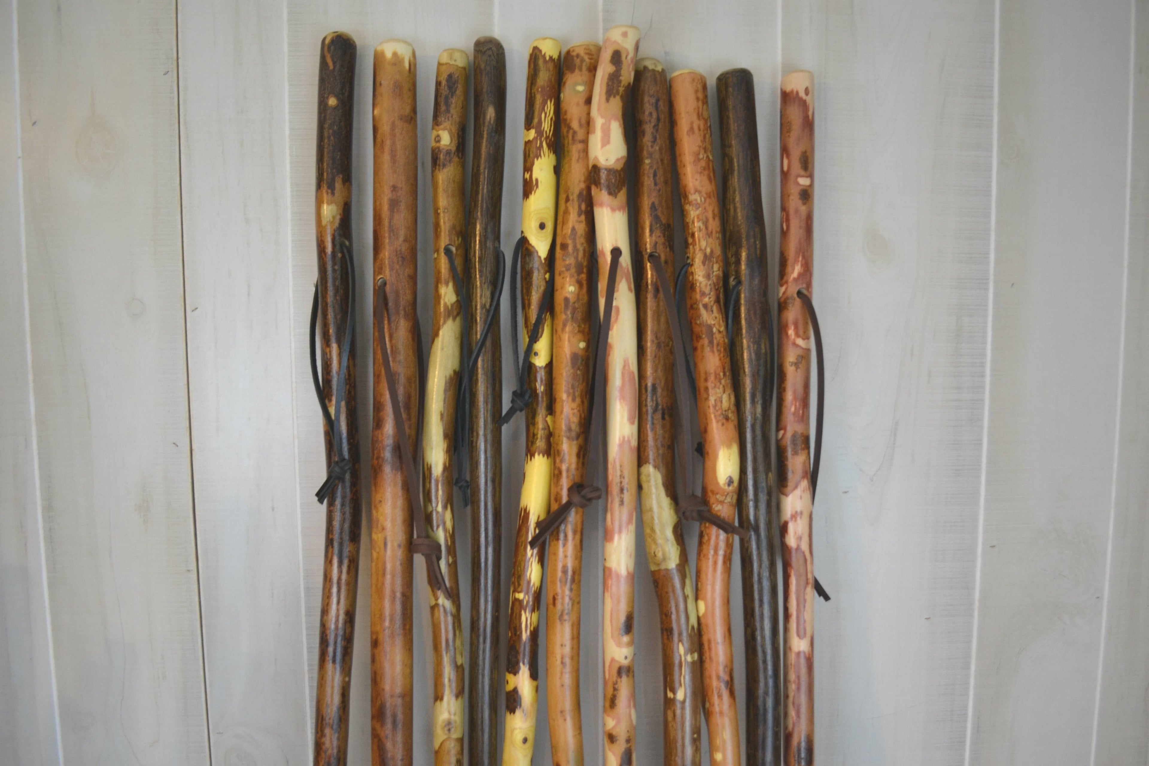 Walking Stick/Staff 56"