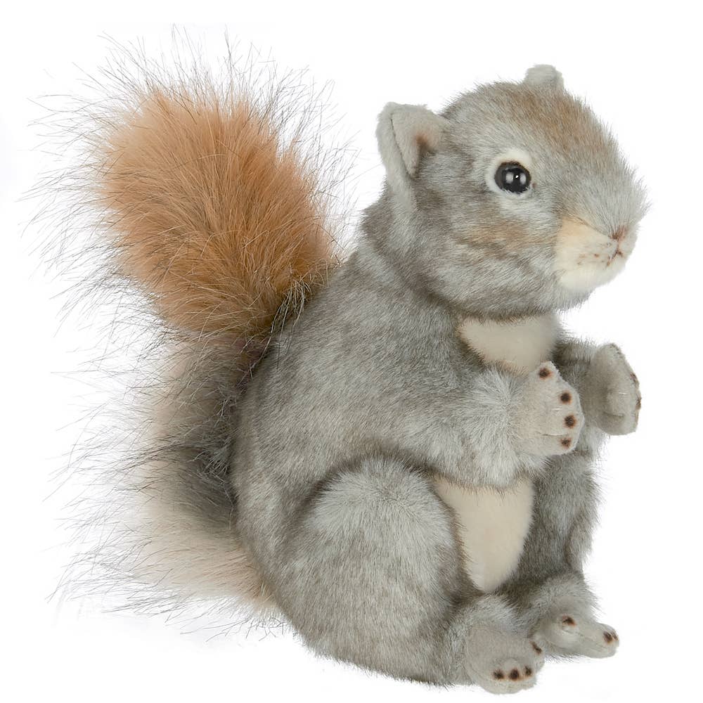 Peanut the Squirrel