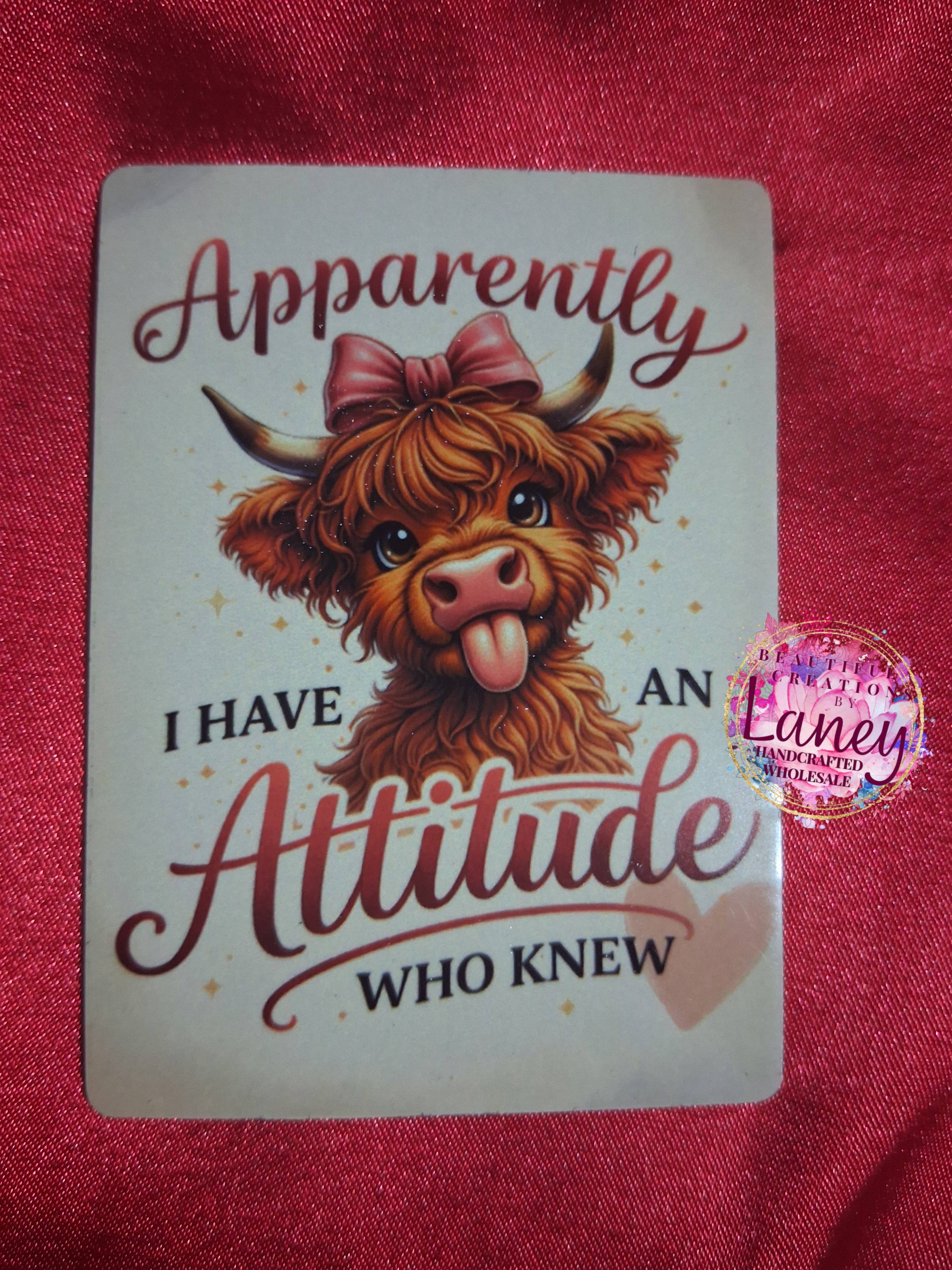 Apparently, I Have an Attitude Magnet