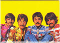 Beatles Yellow Submarine Magnet