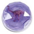 Dinosaur Putty Fossil Discovery