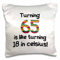 Turning 65 is like turning 18 in celsius  16x16 inch Pillow