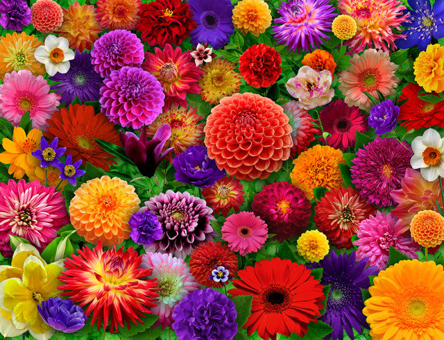 Blooming Every Daisy Puzzle