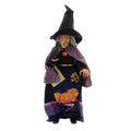 Jim Shore Raven's Spell Witch Figurine