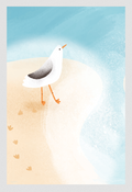 Seagulls Smart Cloth