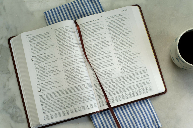 Light For Life NASB Study Bible/Mahohany Lighthouse