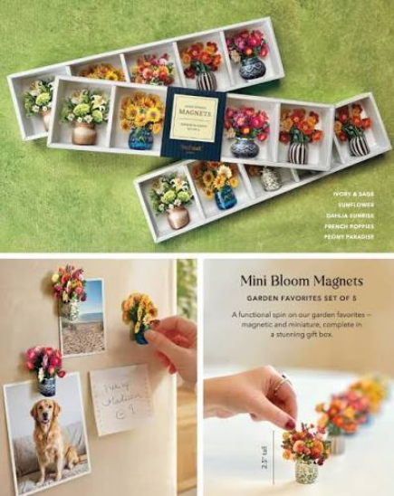 Mini Bloom Garden Favorites Magnets