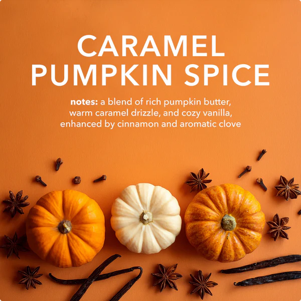 Caramel Pumpkin Spice Dionis 3.3 Oz. Hand & Body Cream
