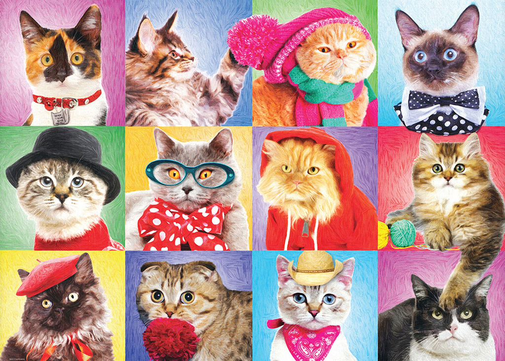 Silly Cats Jigsaw Puzzle