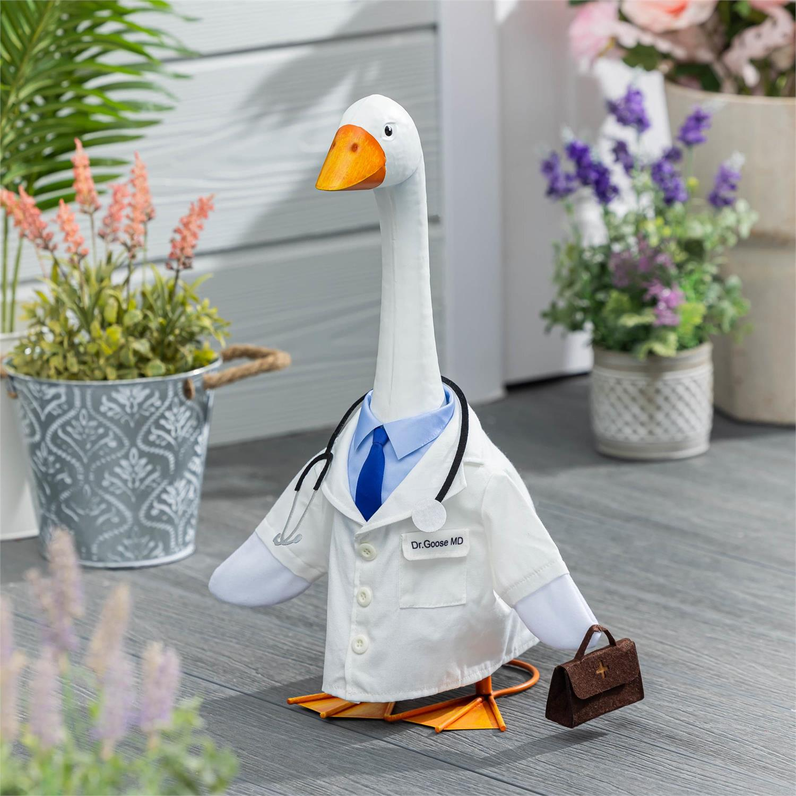 Giddy the Goose Doctor Outfit
