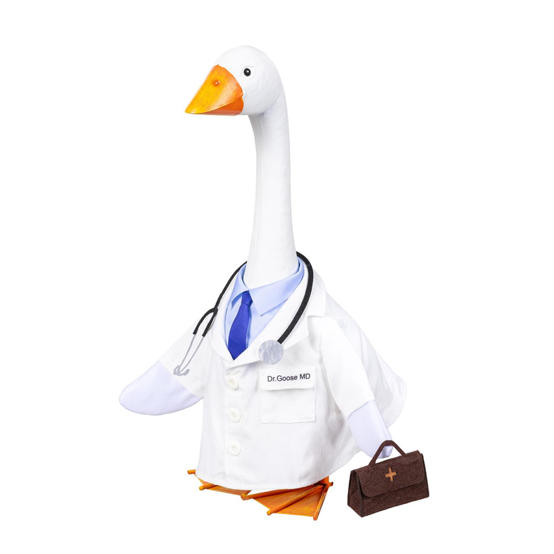 Giddy the Goose Doctor Outfit