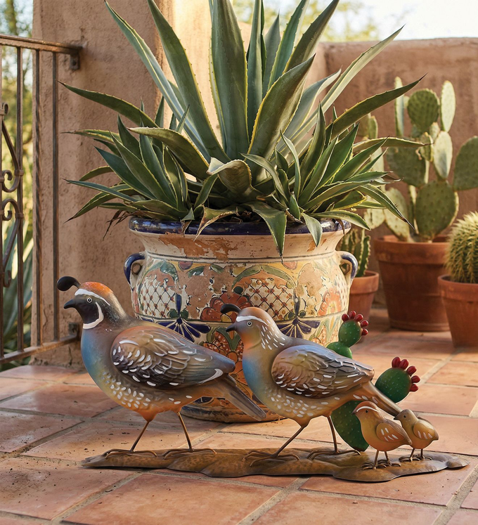 Quail Family Parade