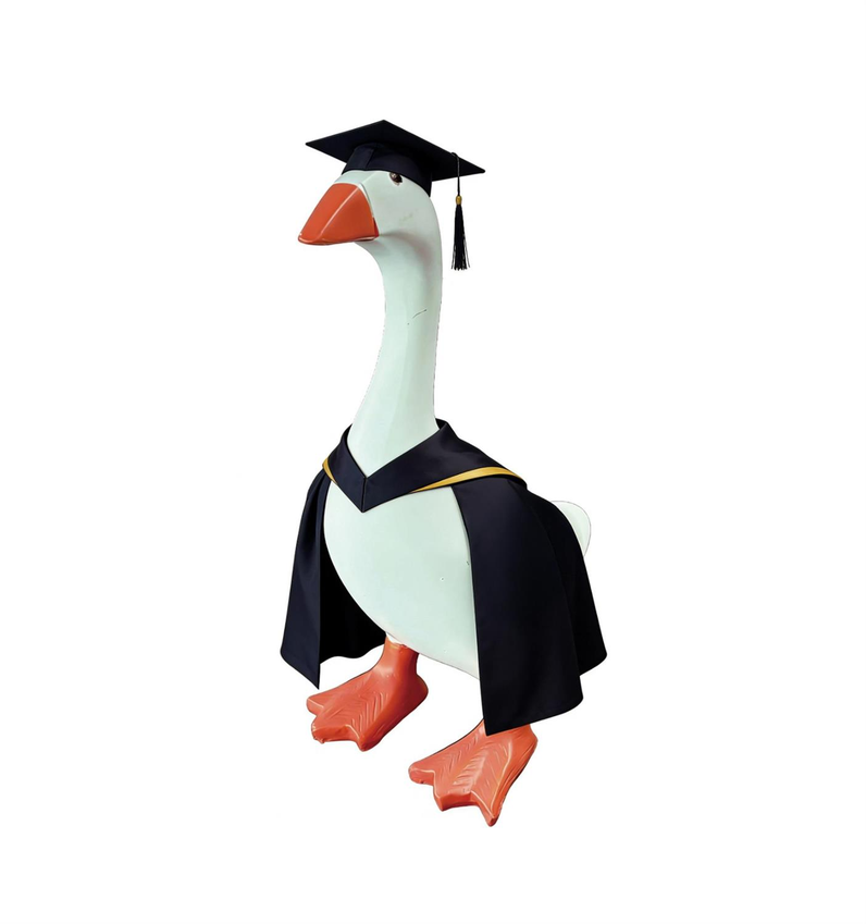 Gordy the Desktop Goose Accessory Set - Graduation