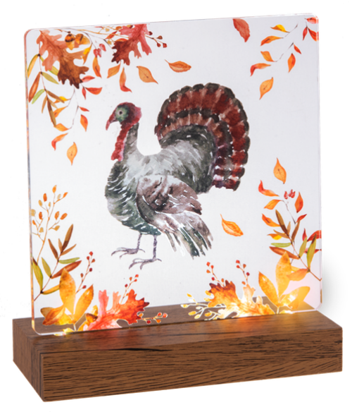 Light Up Turkey Tabletop Decor