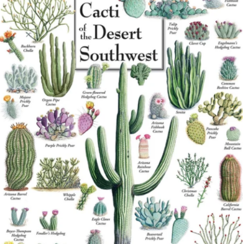 Cacti of the Desert Southwest 1,000 Piece Jigsaw Puzzle