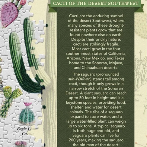 Cacti of the Desert Southwest 1,000 Piece Jigsaw Puzzle