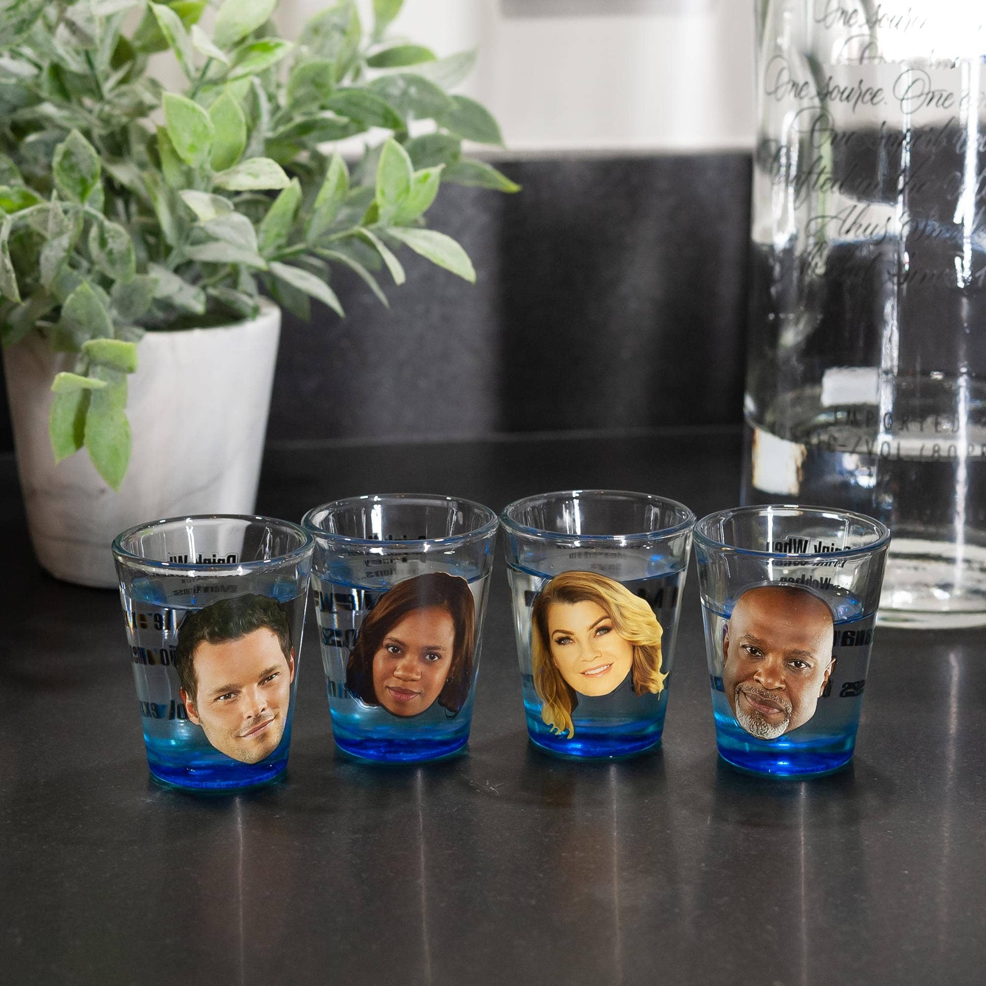 Grey's Anatomy Character Shot Glass Set of 4