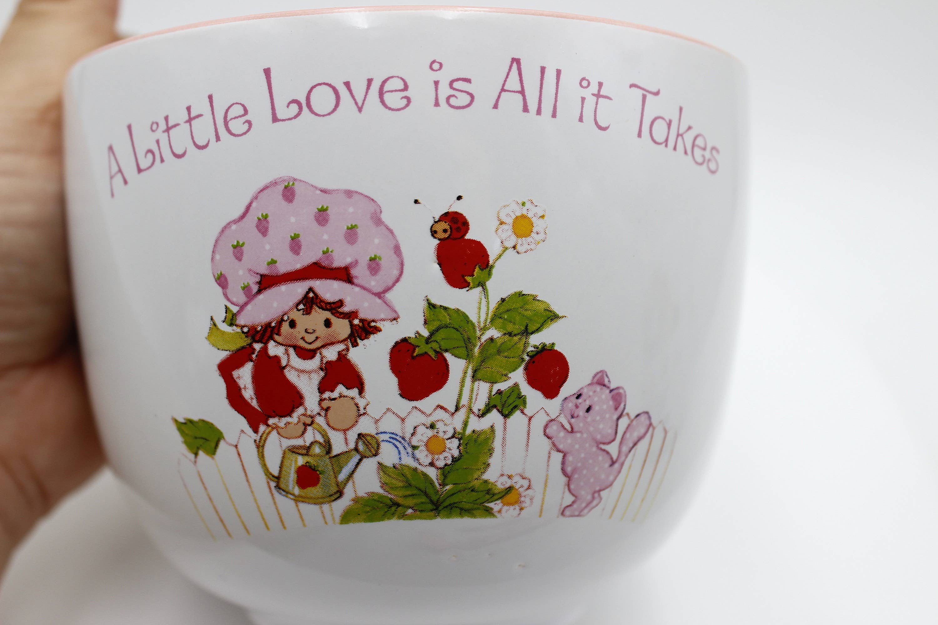 Strawberry Shortcake a Little Love 20oz Ceramic Ramen Bowl