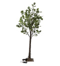 Small Lighted Eucalyptus Tree