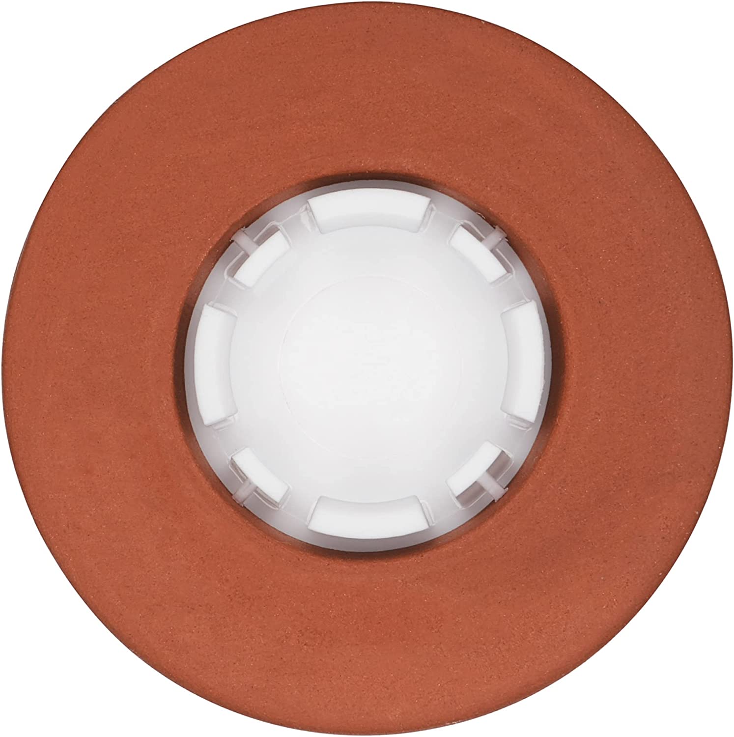 OXO Good Grips POP Accessories Brown Sugar Keeper (Disk)