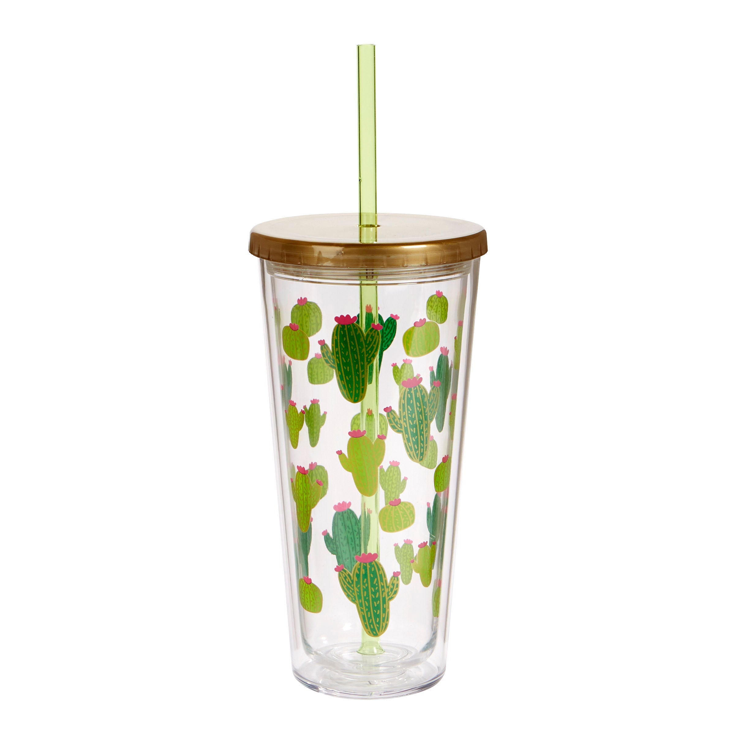 Insulated Tumbler with Straw - Cactus