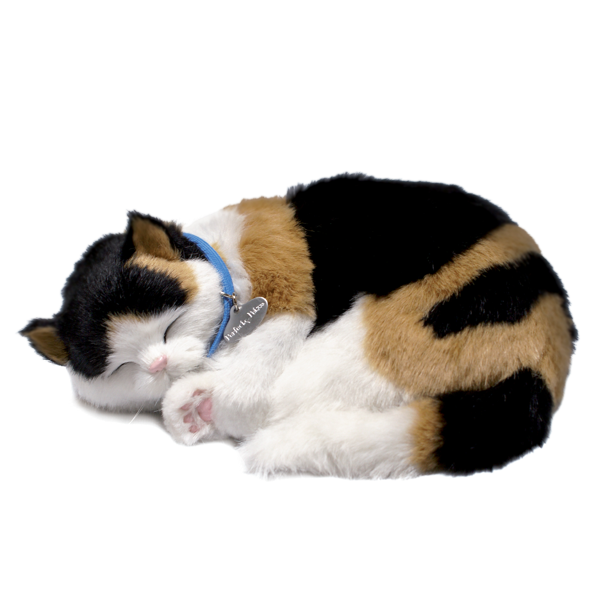 Calico Kitten Lg