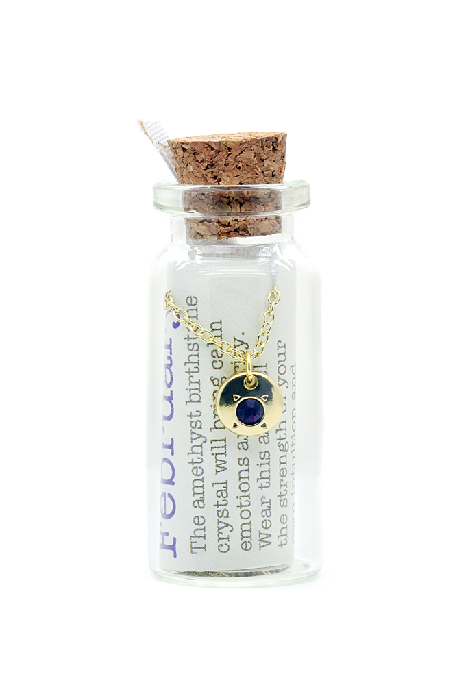 February/Amethyst Birthstone Bottle Necklace