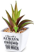 You Will Always Be My Friend You Know Too Much...Sentiment Succulent