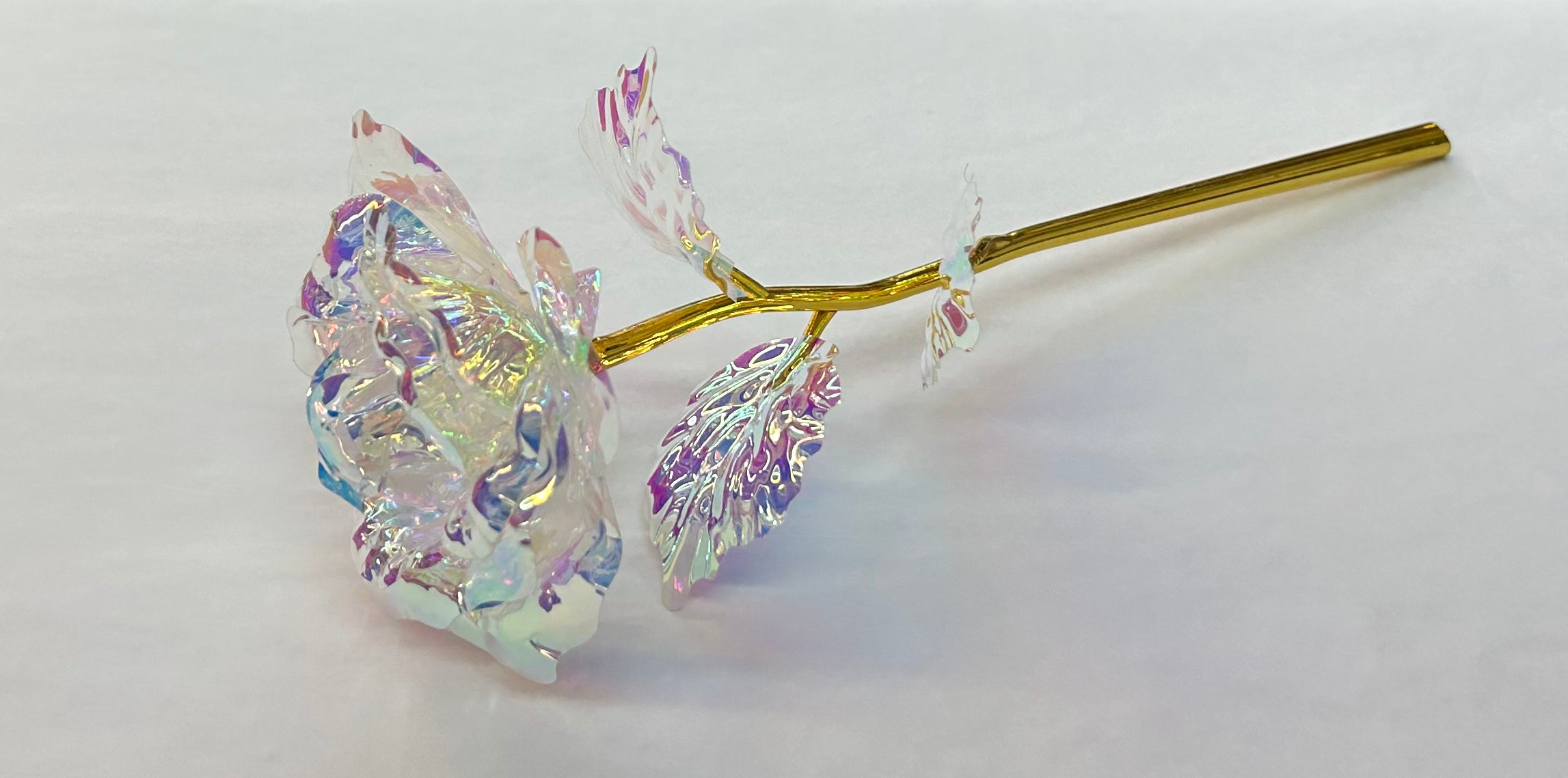 The Witchin Waifu - Galaxy Roses - Forever Rainbow Roses
